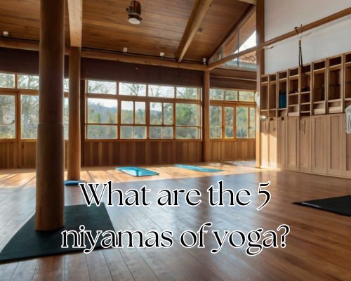 Sunlight streams into a peaceful yoga studio